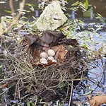 Meschermolen 8 דירה אייסדן