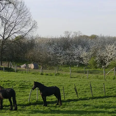 Meschermolen 8