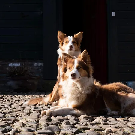 Διαμέρισμα Meschermolen 8 Eijsden