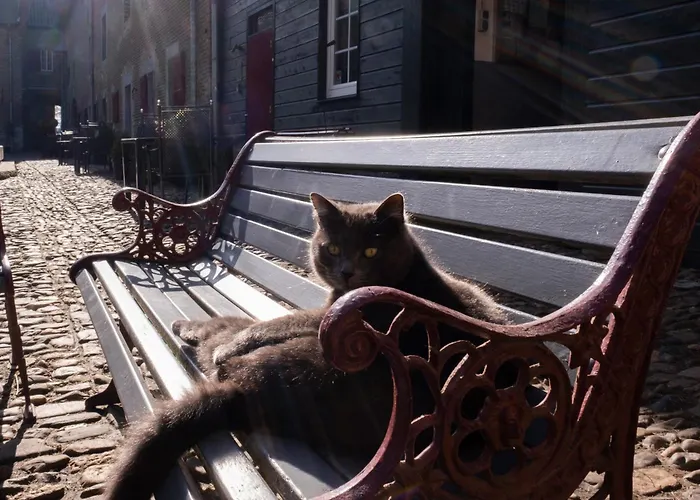 Meschermolen 8 إيجسدين