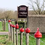 Meschermolen 8 * إيجسدين