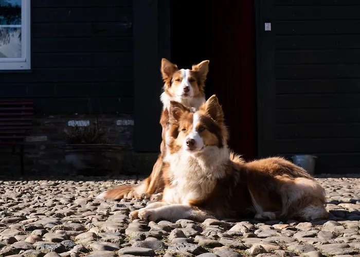 Апартаменты Meschermolen 8 Эйсден